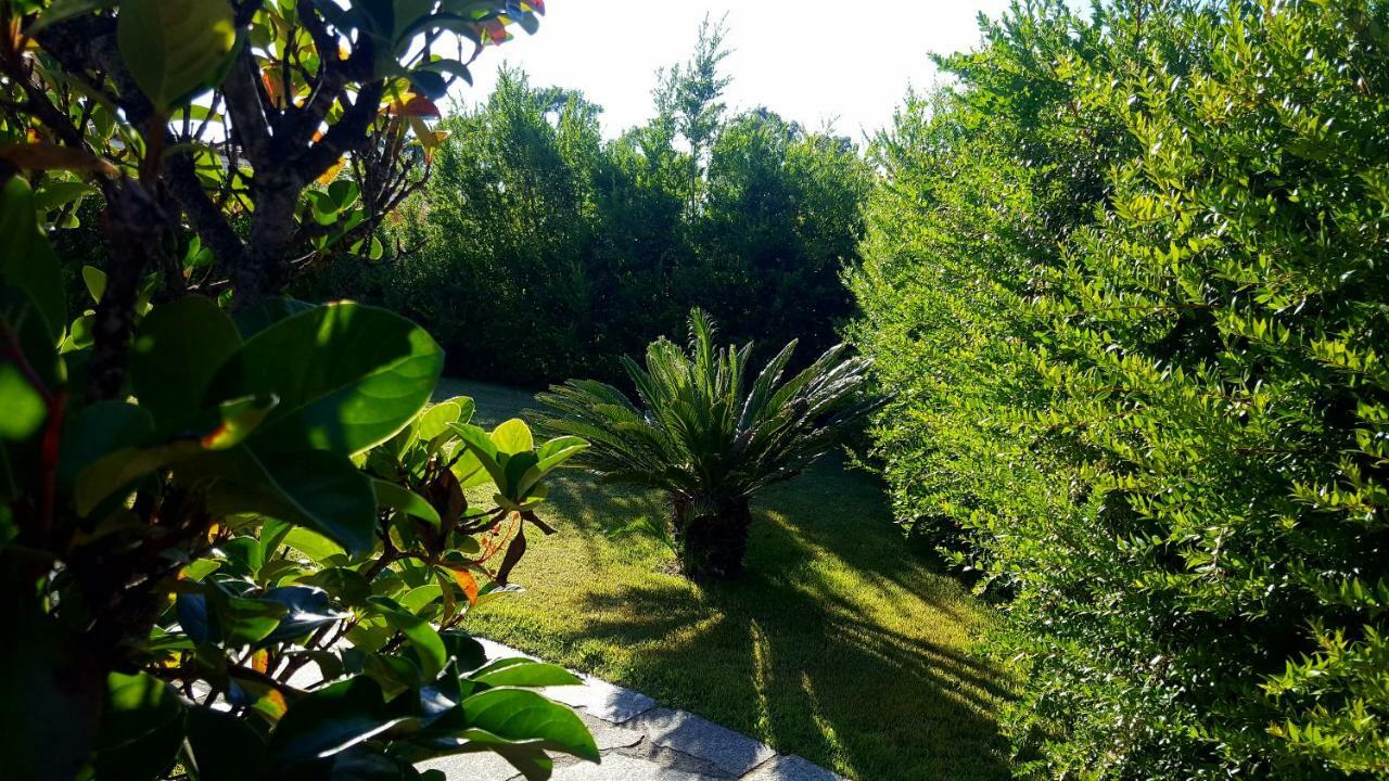 Casa I Falchi بودوني المظهر الخارجي الصورة